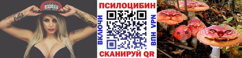 Галлюциногенные грибы GOLDEN TEACHER  где купить наркоту  Петровск 