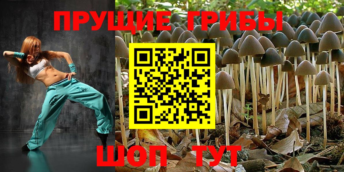 Псилоцибиновые грибы мицелий Петровск