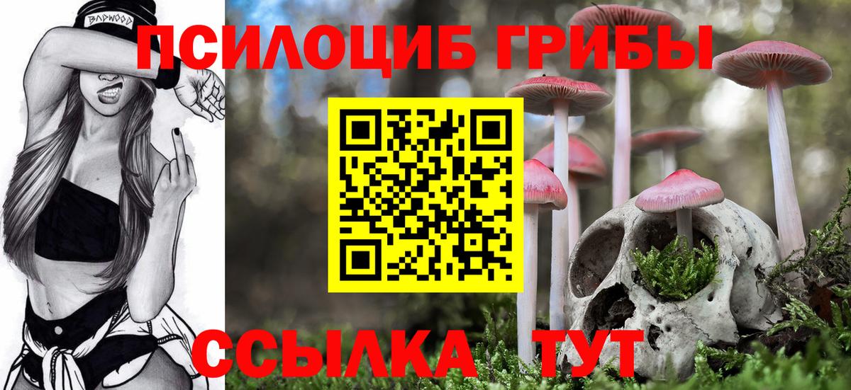 Гашиш Петровск