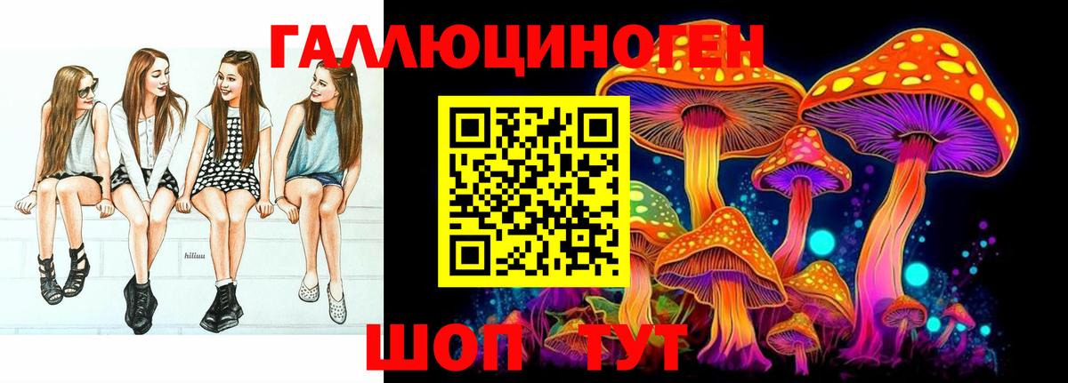 Петровск  Галлюциногенные грибы Cubensis  Вход с VPN 